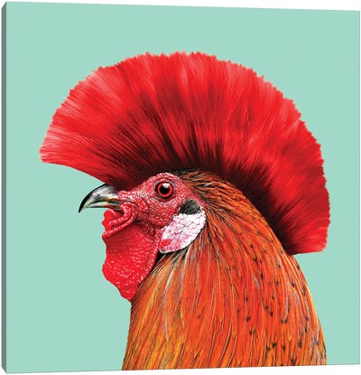 Punkcock Canvas Art Print - Chicken & Rooster Art