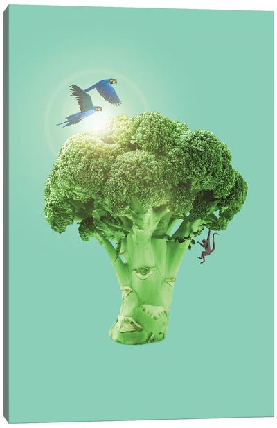 Broccoli Canvas Art Print - Good Enough to Eat