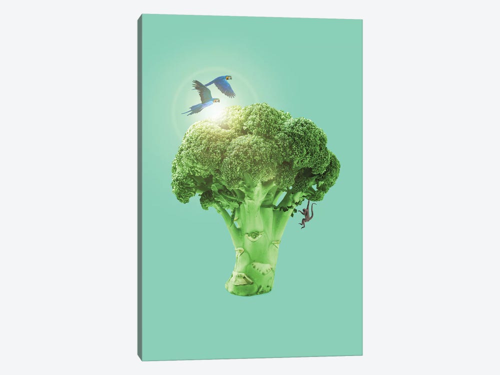 Broccoli by Jonas Loose 1-piece Canvas Art