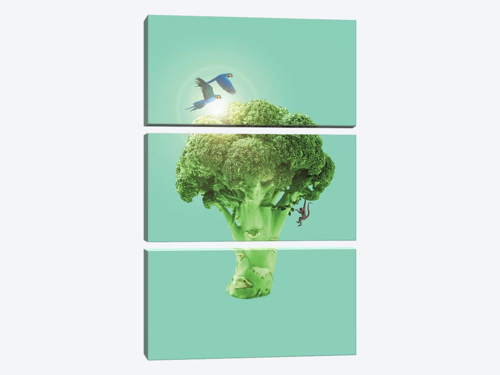 Broccoli by Jonas Loose 3-piece Canvas Wall Art