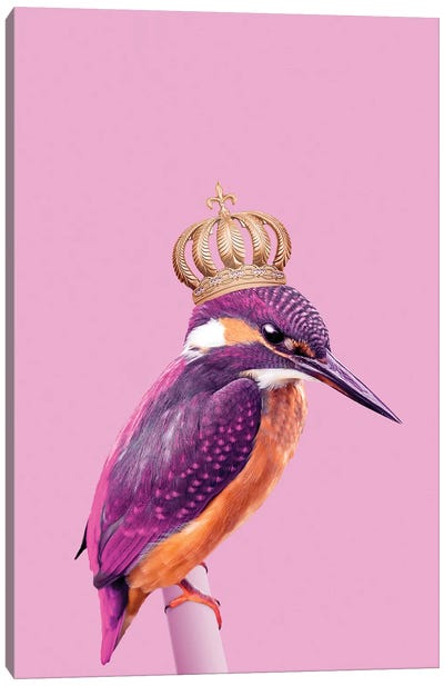 Queenfisher Canvas Art Print - Crown Art