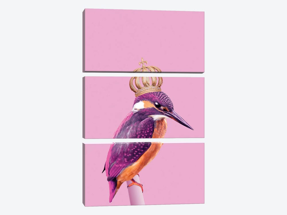 Queenfisher by Jonas Loose 3-piece Art Print