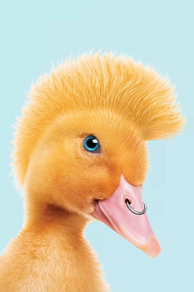 Composite Photography: Rebel Duckling by Jonas Loose
