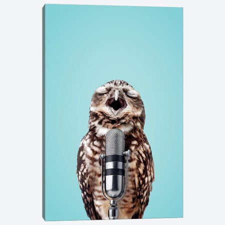 Singing Owl Canvas Print #LOO44} by Jonas Loose Canvas Artwork