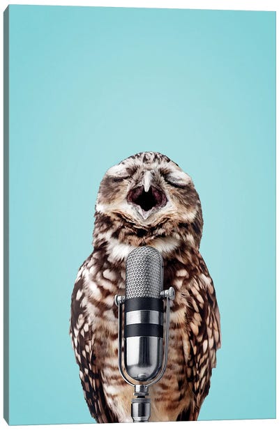 Singing Owl Canvas Art Print - Jonas Loose