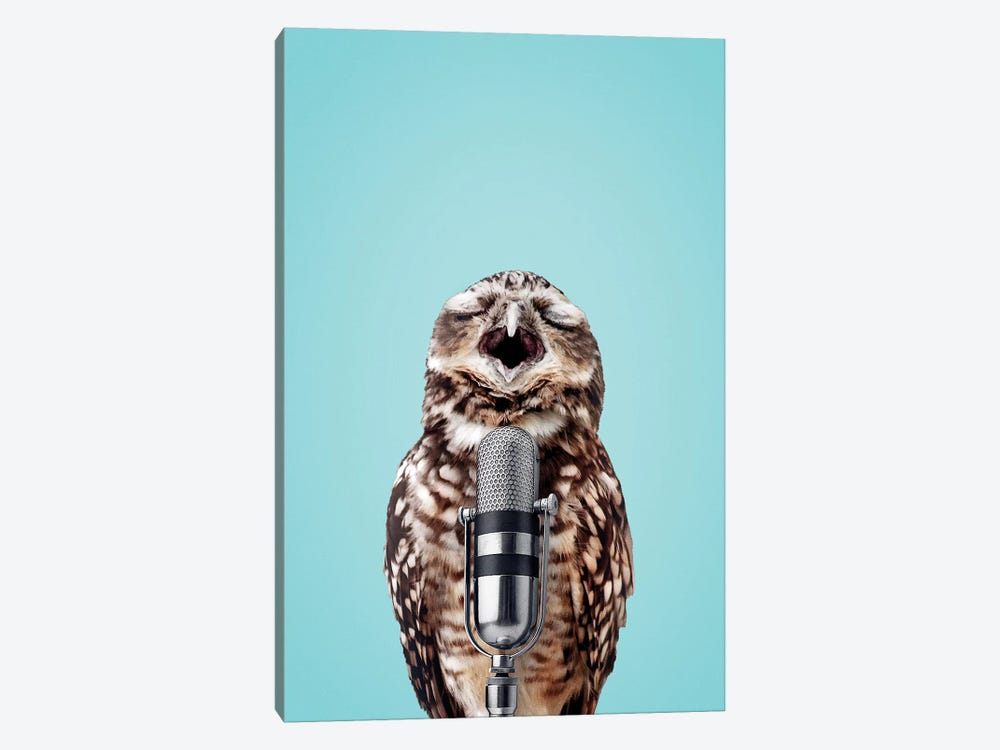 Singing Owl by Jonas Loose 1-piece Art Print