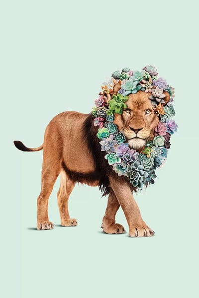 Lions: Succulent Lion by Jonas Loose