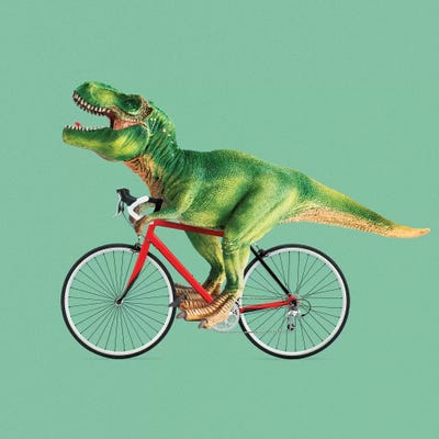 rex bike