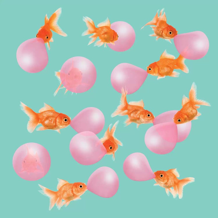 Bubblegum Goldfish by Jonas Loose wall art