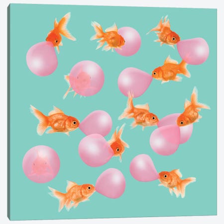 Bubblegum Goldfish Canvas Print #LOO4} by Jonas Loose Canvas Wall Art