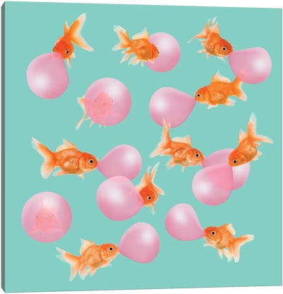 Bubblegum Goldfish Canvas Art Print - Bubble Gum