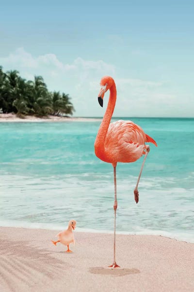 Large Coastal Art - Canvas Prints: Wannabe Flamingo by Jonas Loose