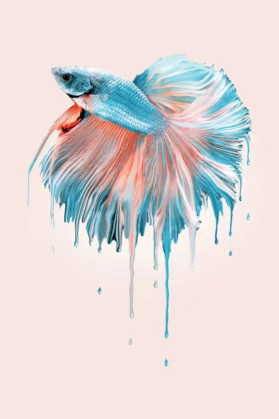Melting Fish by Jonas Loose framed canvas print