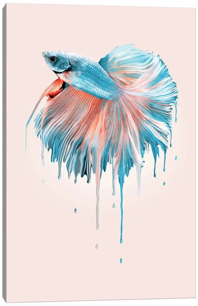 Melting Fish Canvas Art Print - Jonas Loose