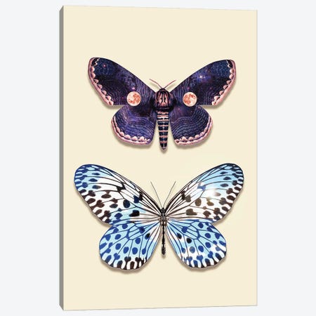 Night & Day Butterfly Canvas Print #LOO54} by Jonas Loose Canvas Print