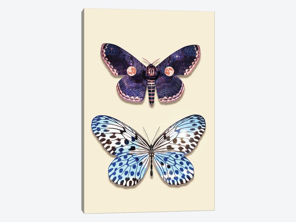 Night & Day Butterfly by Jonas Loose 1-piece Canvas Wall Art