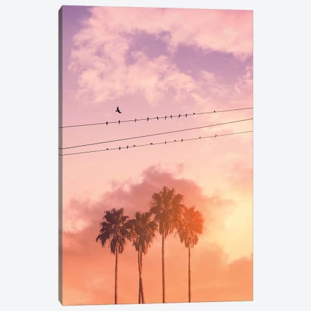 Birds On A Wire Canvas Print #LOO57} by Jonas Loose Canvas Art Print