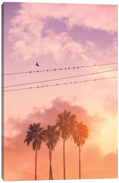 Birds On A Wire Canvas Art Print - Sunset Shades