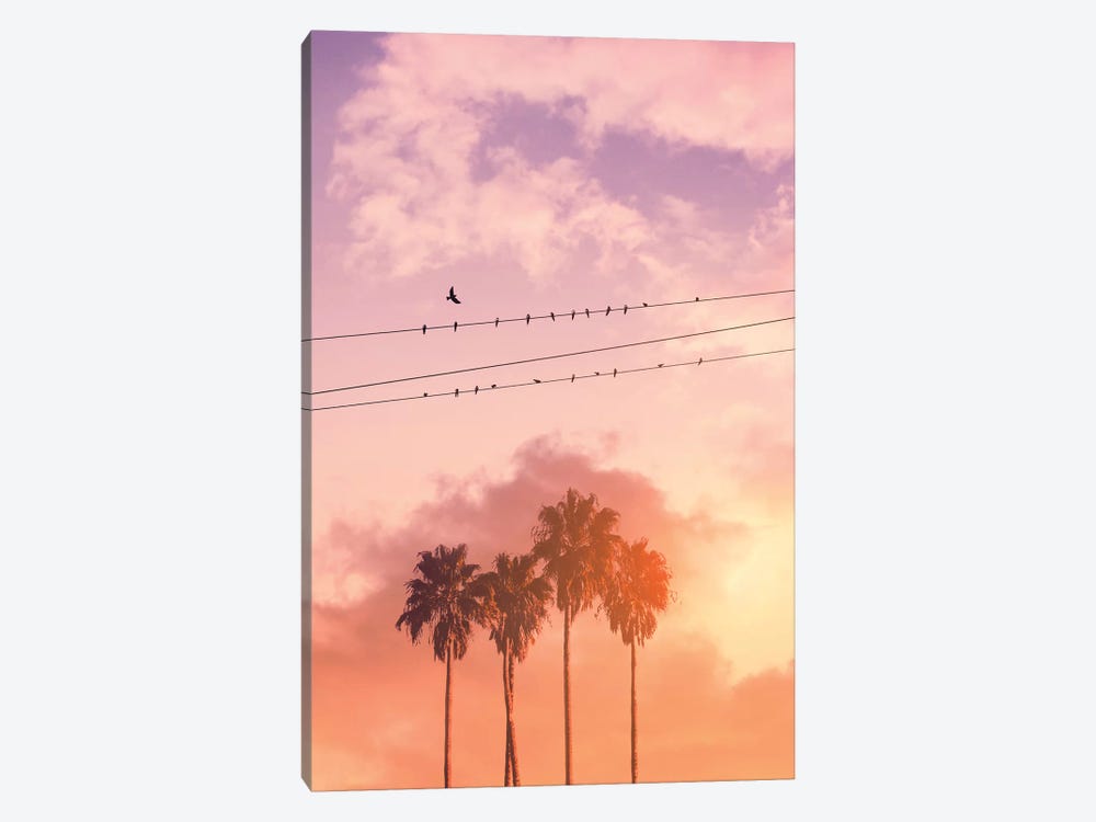 Birds On A Wire by Jonas Loose 1-piece Canvas Print