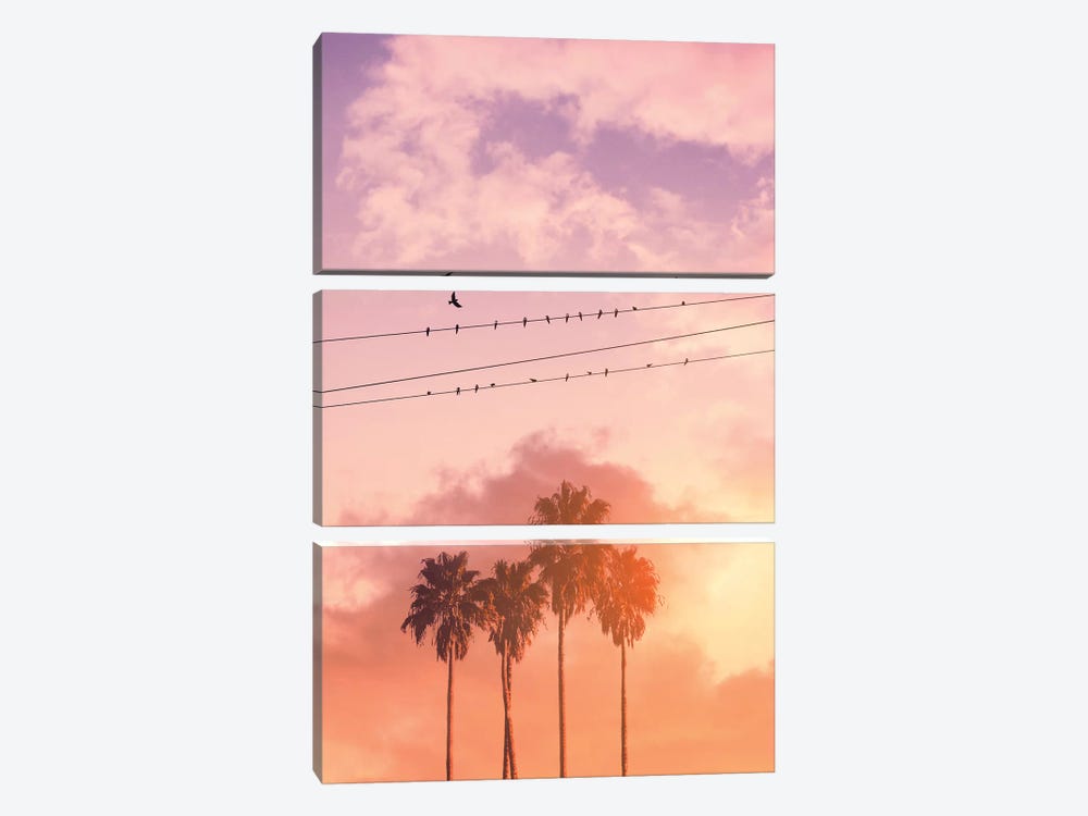 Birds On A Wire by Jonas Loose 3-piece Canvas Art Print