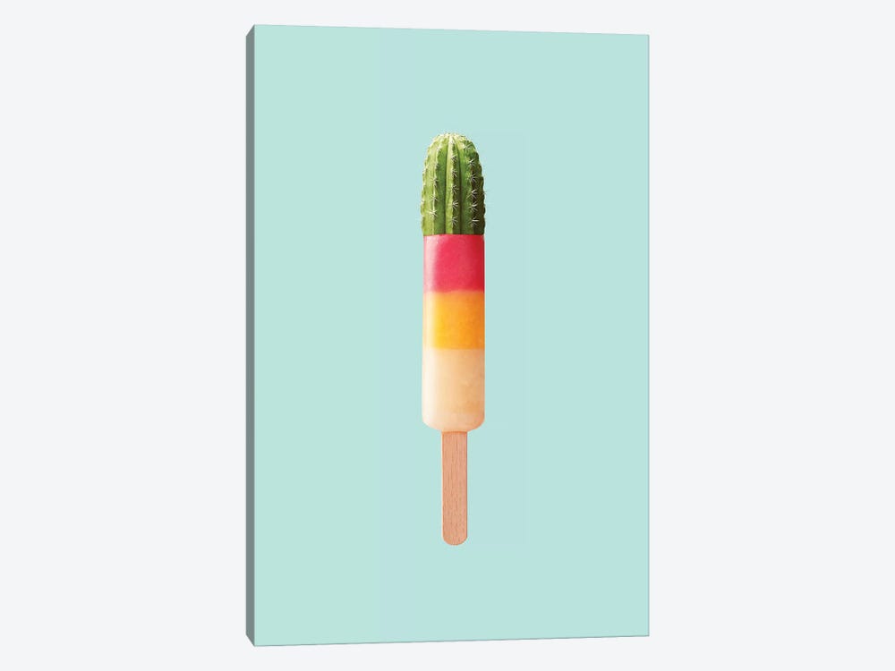 Cactus Popsicle by Jonas Loose 1-piece Canvas Art