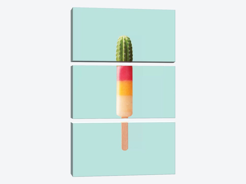 Cactus Popsicle by Jonas Loose 3-piece Canvas Artwork