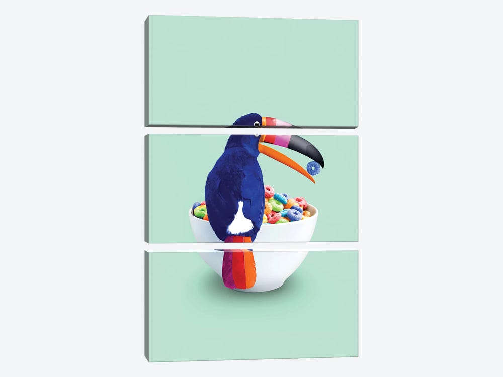 Cereal Toucan by Jonas Loose 3-piece Canvas Print