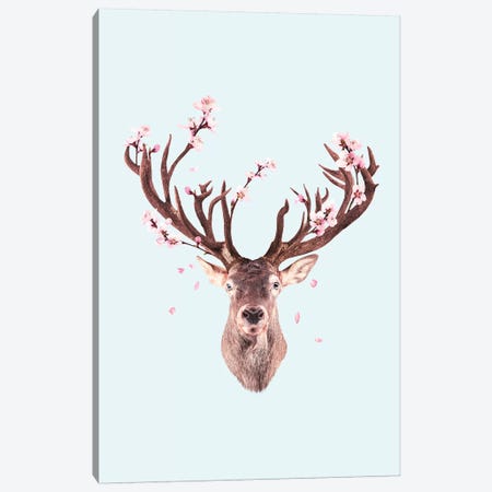 Cherry Blossom Deer Canvas Print #LOO61} by Jonas Loose Canvas Art Print