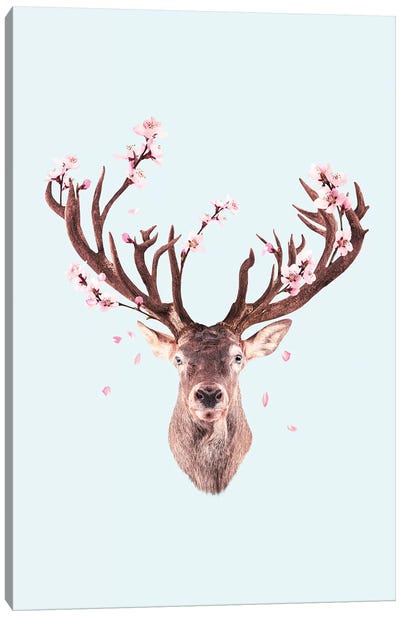 Cherry Blossom Deer Canvas Art Print - Jonas Loose
