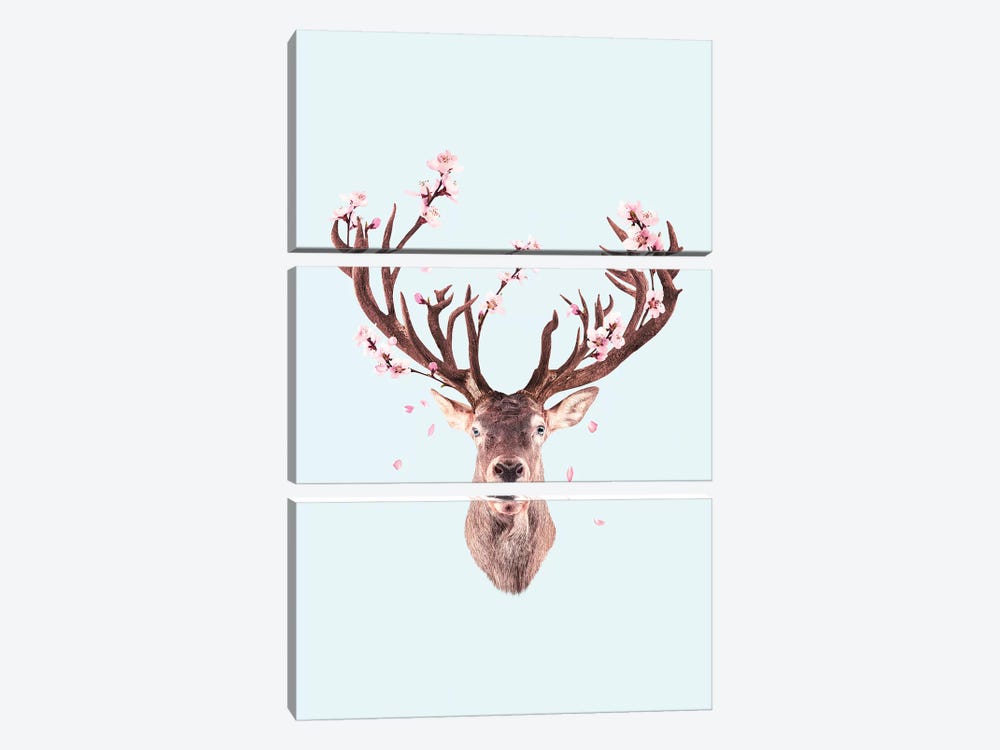 Cherry Blossom Deer by Jonas Loose 3-piece Canvas Artwork
