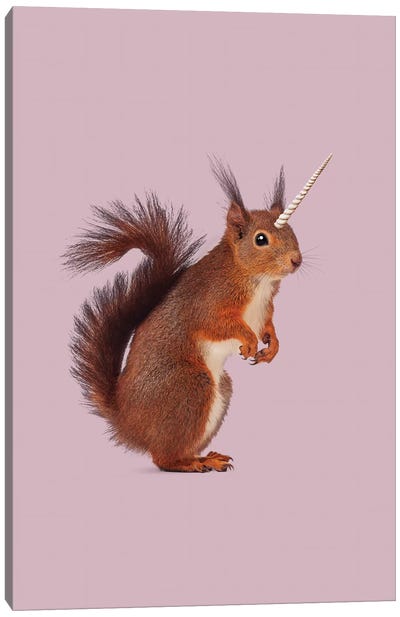 Einhoernchen Canvas Art Print - Squirrel Art