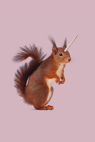 Rodents: Einhoernchen by Jonas Loose