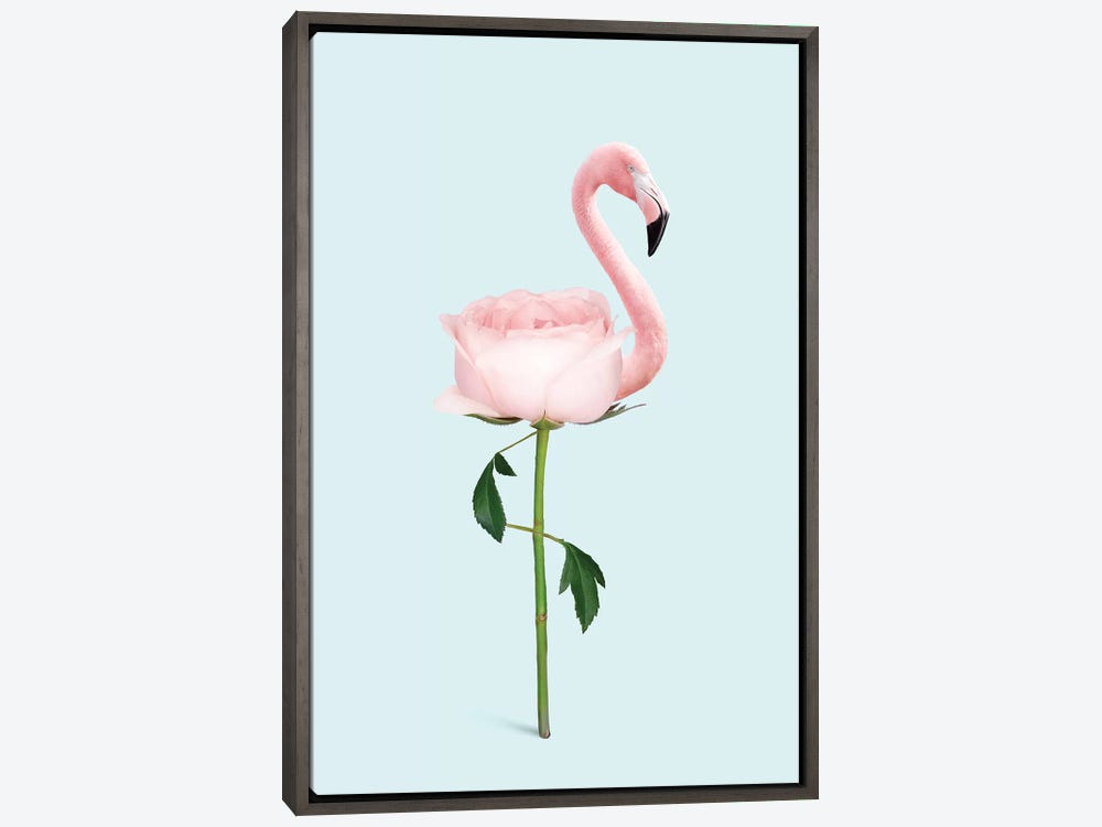 Flamingo and Friends print by Jonas Loose