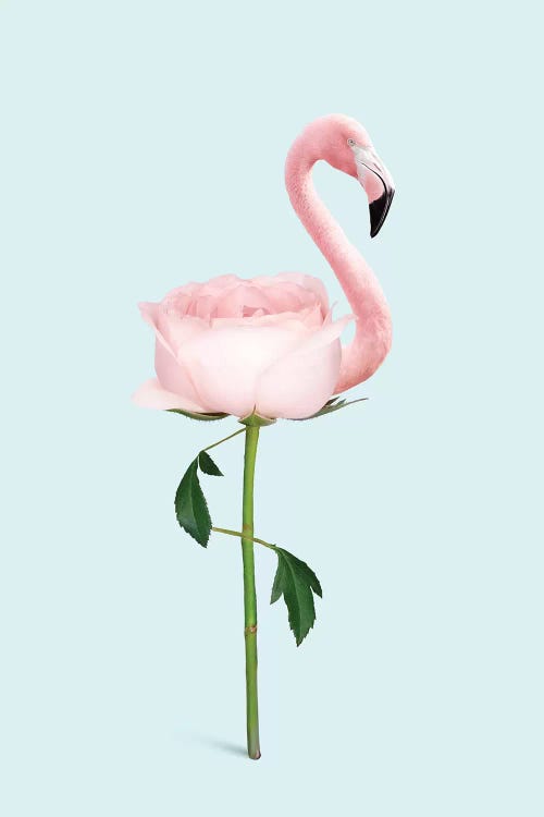 Flamingo Flower by Jonas Loose wall art