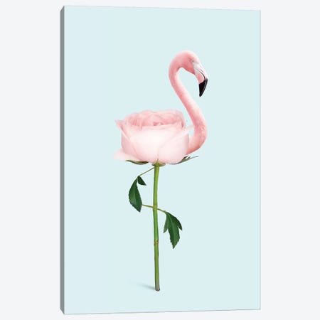 Flamingo Flower Canvas Print #LOO65} by Jonas Loose Canvas Artwork