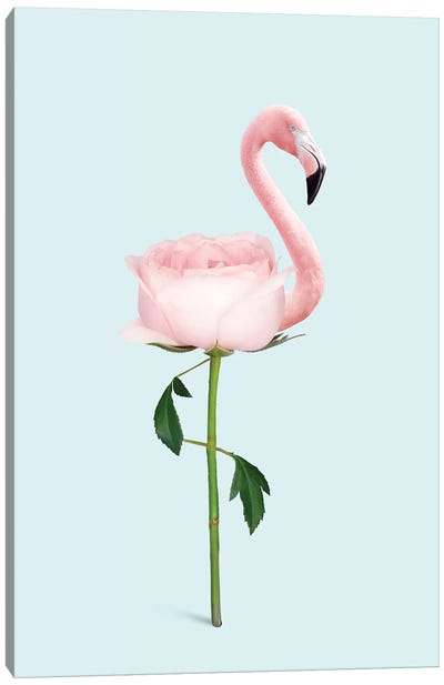 Flamingo Flower Canvas Art Print - Flamingo Art