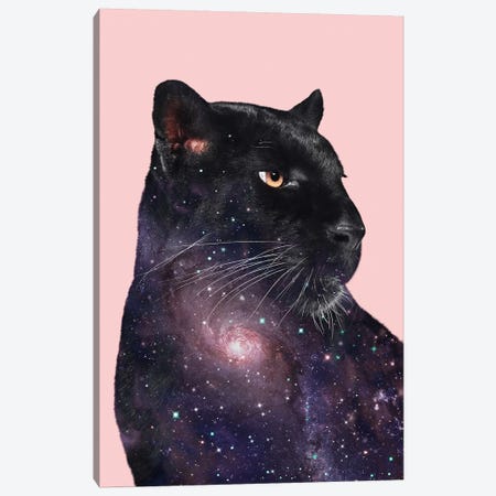 Galaxy Panther Canvas Print #LOO67} by Jonas Loose Canvas Artwork