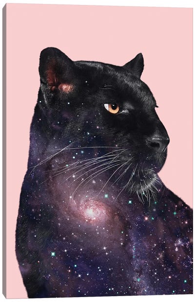 Galaxy Panther Canvas Art Print - Jonas Loose
