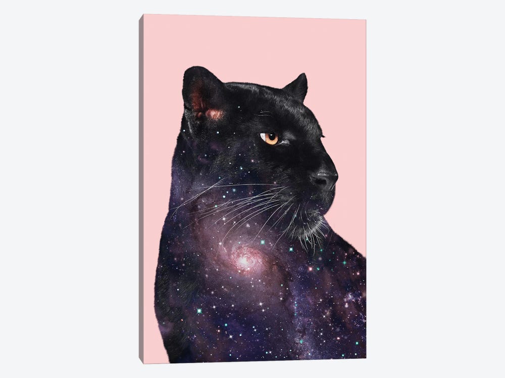 Galaxy Panther by Jonas Loose 1-piece Canvas Art