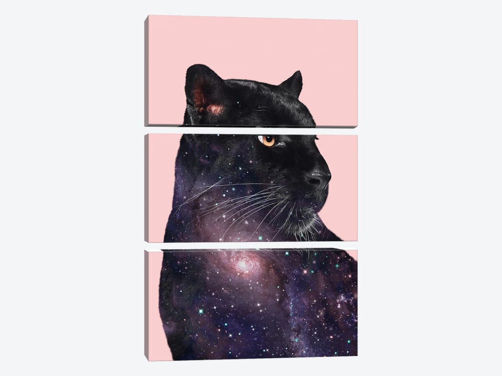 Galaxy Panther by Jonas Loose 3-piece Canvas Wall Art