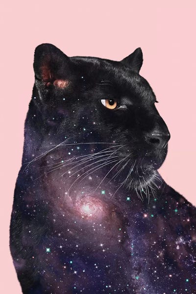Black & Pink: Galaxy Panther by Jonas Loose