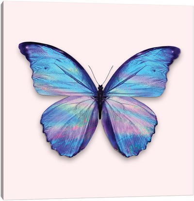 Holographic Butterfly Canvas Art Print - Butterfly Art