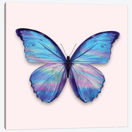 Holographic Butterfly Canvas Print #LOO69} by Jonas Loose Canvas Print