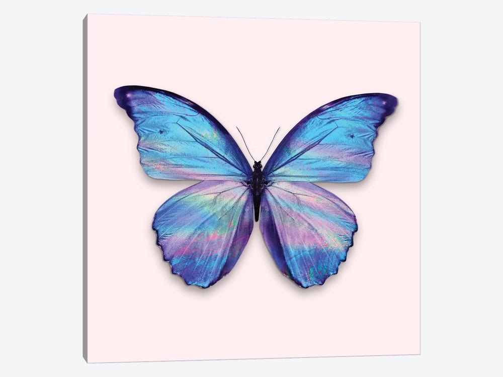 Holographic Butterfly by Jonas Loose 1-piece Canvas Artwork