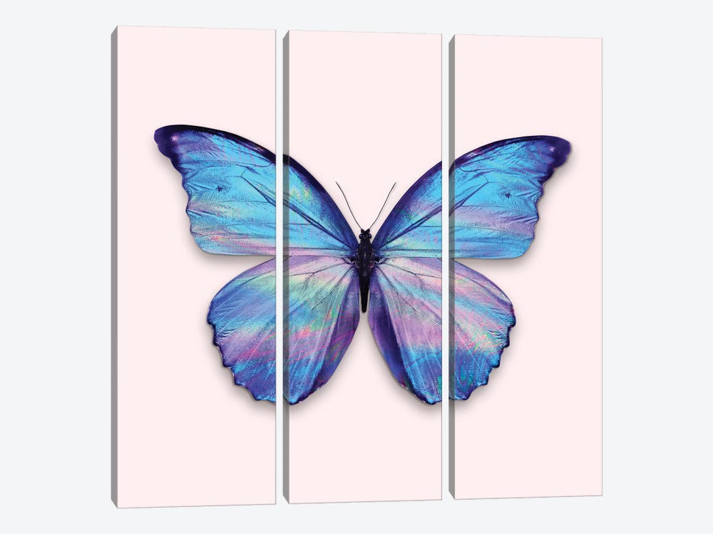 Holographic Butterfly by Jonas Loose 3-piece Canvas Artwork