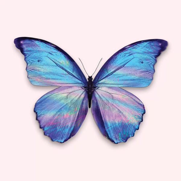 Butterflies: Holographic Butterfly by Jonas Loose
