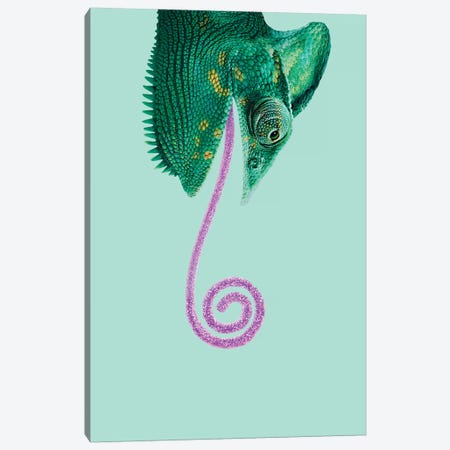 Candy Chameleon Canvas Print #LOO6} by Jonas Loose Canvas Art