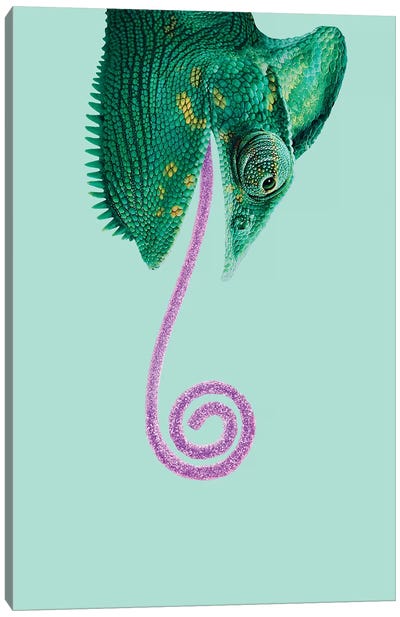 Candy Chameleon Canvas Art Print - Chameleons
