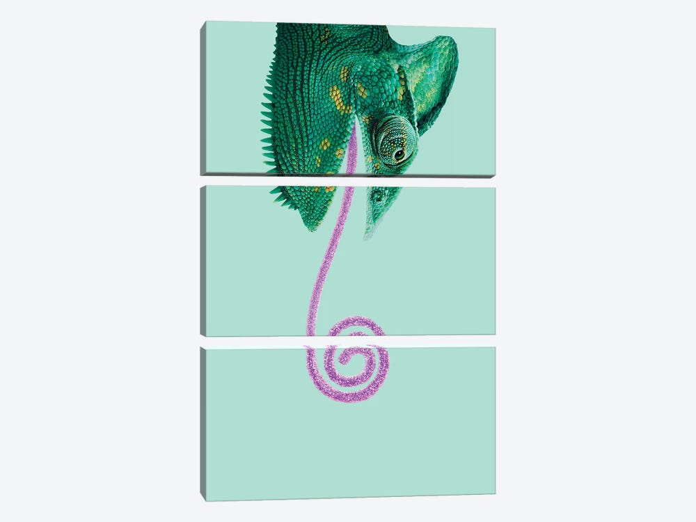 Candy Chameleon by Jonas Loose 3-piece Canvas Print
