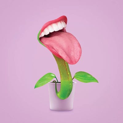 Carnivorous Plant by Jonas Loose framed wall art